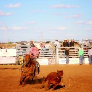 Meet your Posher, Colt